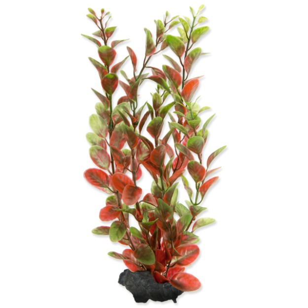 Rostlina TETRA Red Ludwigia M 